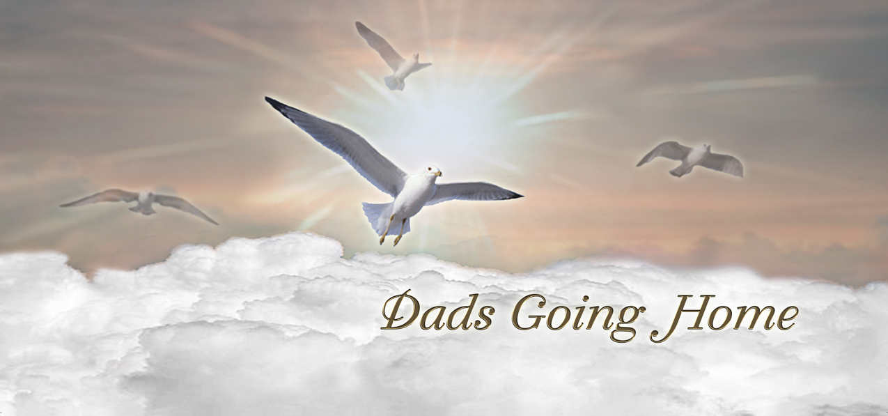 Journey Home Bronze (Das Going Home) PROOF